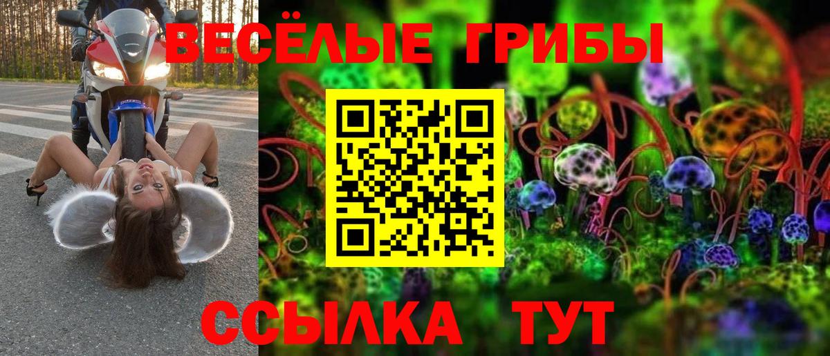 Гагарин  Псилоцибиновые грибы Magic Shrooms  Вход с VPN 